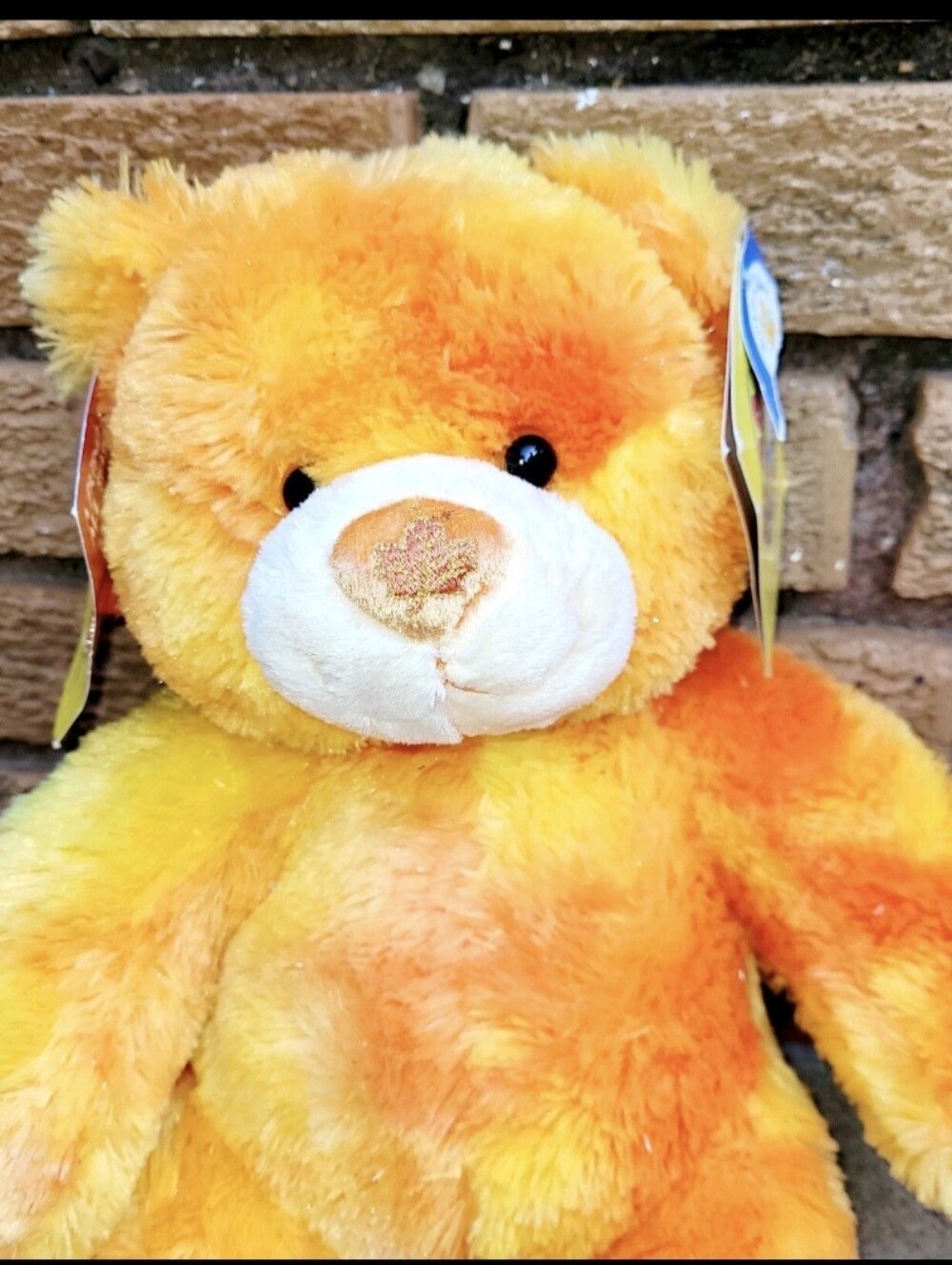 NWT Build A Bear Autumn Sparkle Bear w/Pin #35,119 of #126,700 Ltd Edition 2007